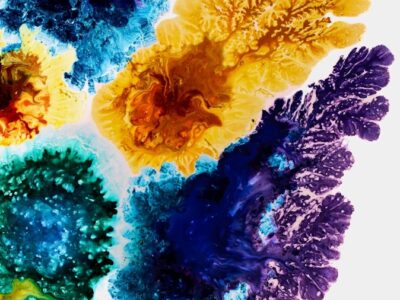 a group of different colored plants on a white surface