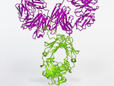 a purple and green string sculpture on a white surface